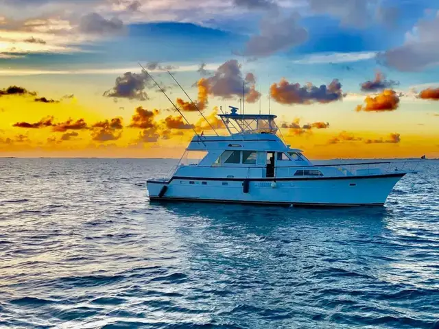 Hatteras 58 Yacht Fish