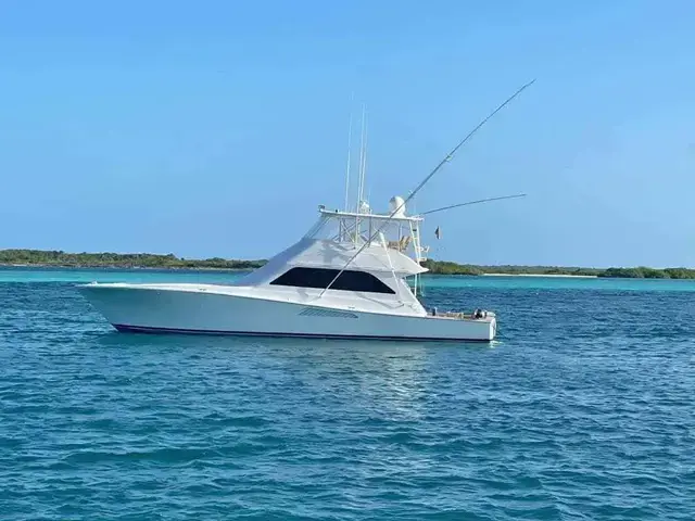 Viking 55 Convertible