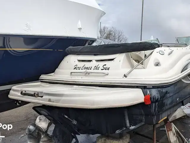 Sea Ray 240 Sundeck