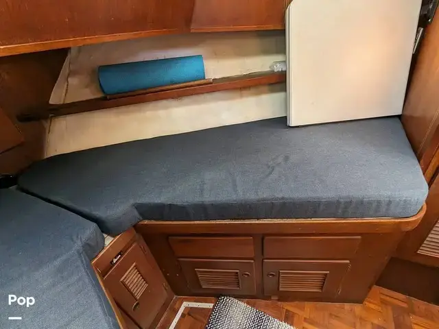 Trader 40 Double Cabin