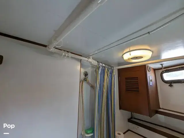 Trader 40 Double Cabin