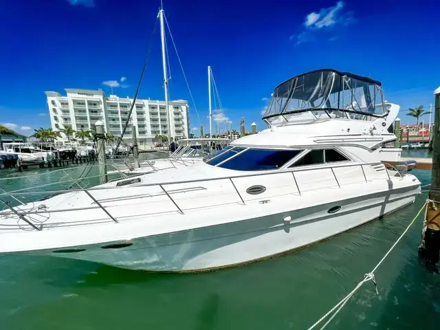 Sea Ray Flybridge 400