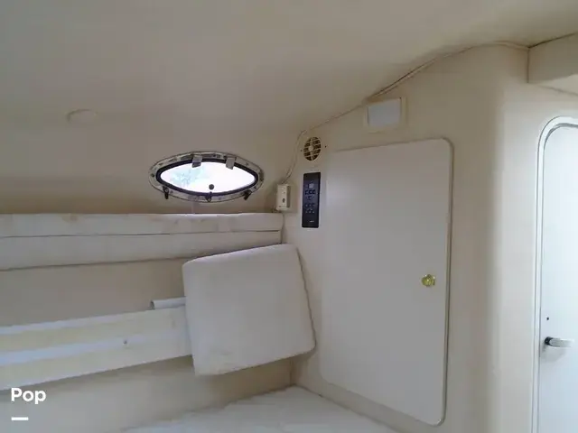 Sea Ray 260 Sundancer