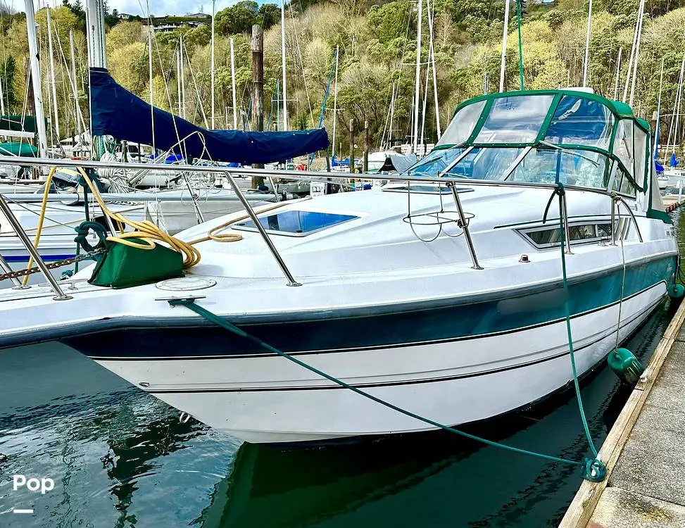 1997 Chaparral 290 signature