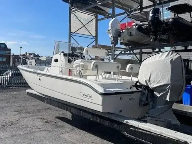 Boston Whaler 220 Dauntless