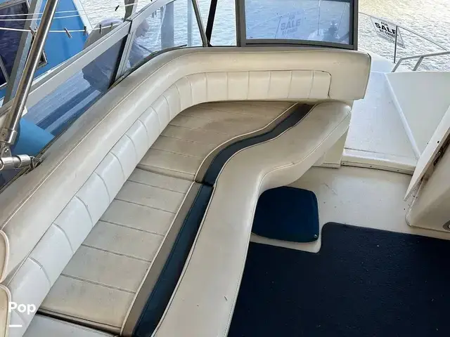 Sea Ray 350 Express Bridge