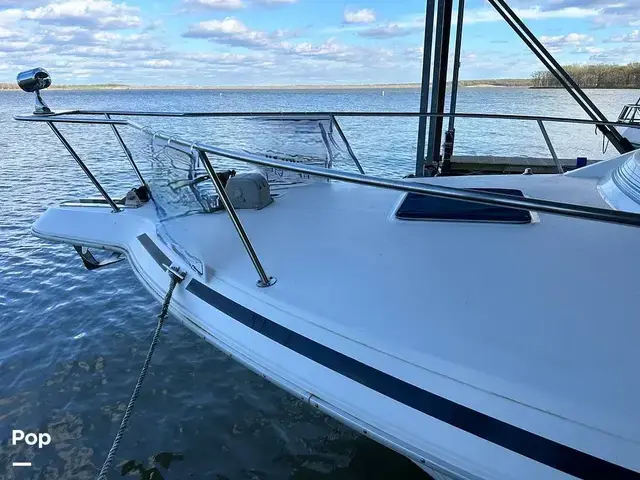 Sea Ray 350 Express Bridge