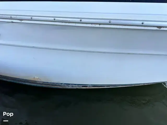 Sea Ray 350 Express Bridge