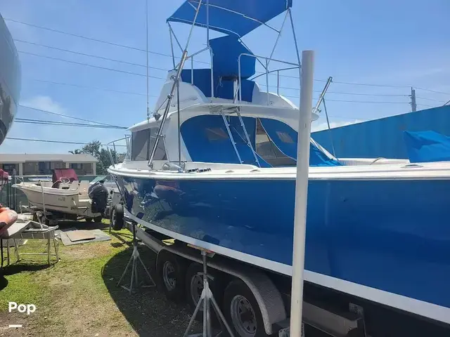 Bertram 31 Sportfisher