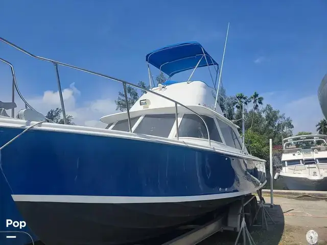 Bertram 31 Sportfisher