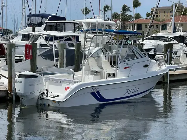 Cobia 220 Walkaround