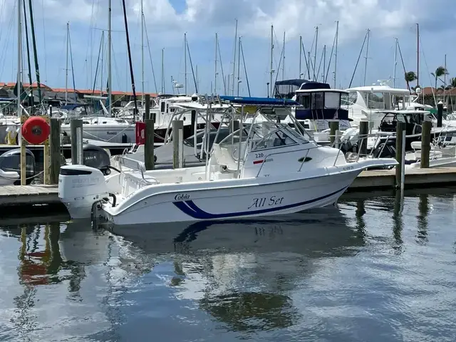 Cobia 220 Walkaround