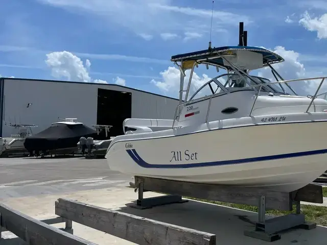 Cobia 220 Walkaround