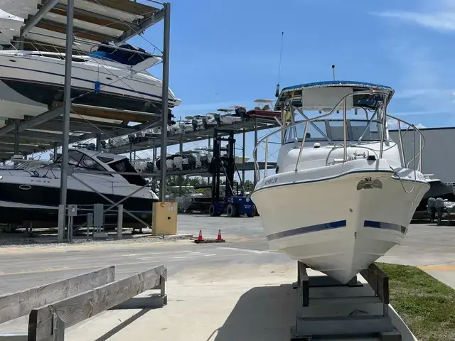 Cobia 220 Walkaround