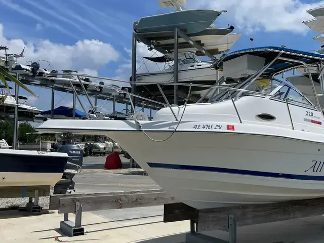 Cobia 220 Walkaround