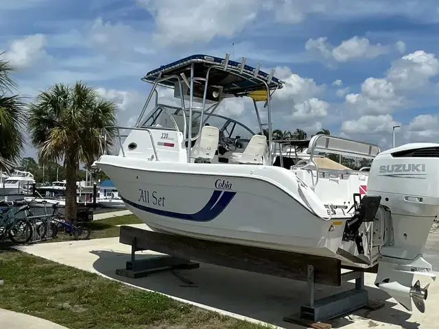 Cobia 220 Walkaround