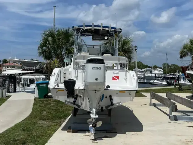 Cobia 220 Walkaround