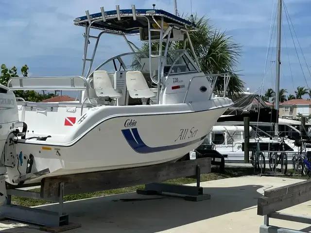 Cobia 220 Walkaround