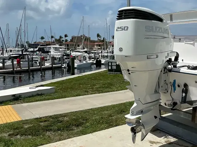 Cobia 220 Walkaround