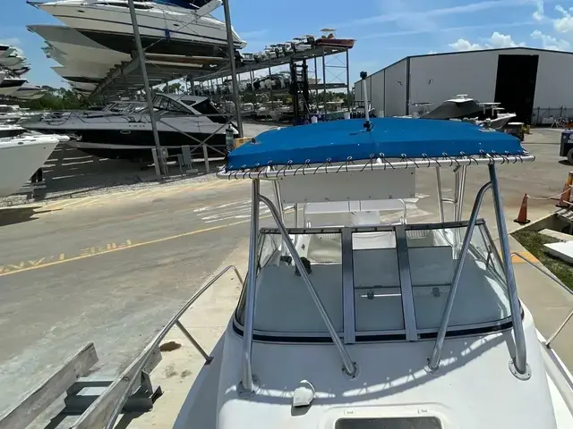 Cobia 220 Walkaround