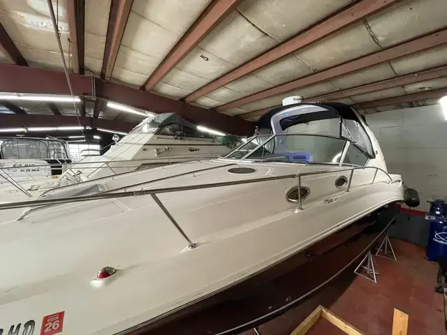 Sea Ray 32