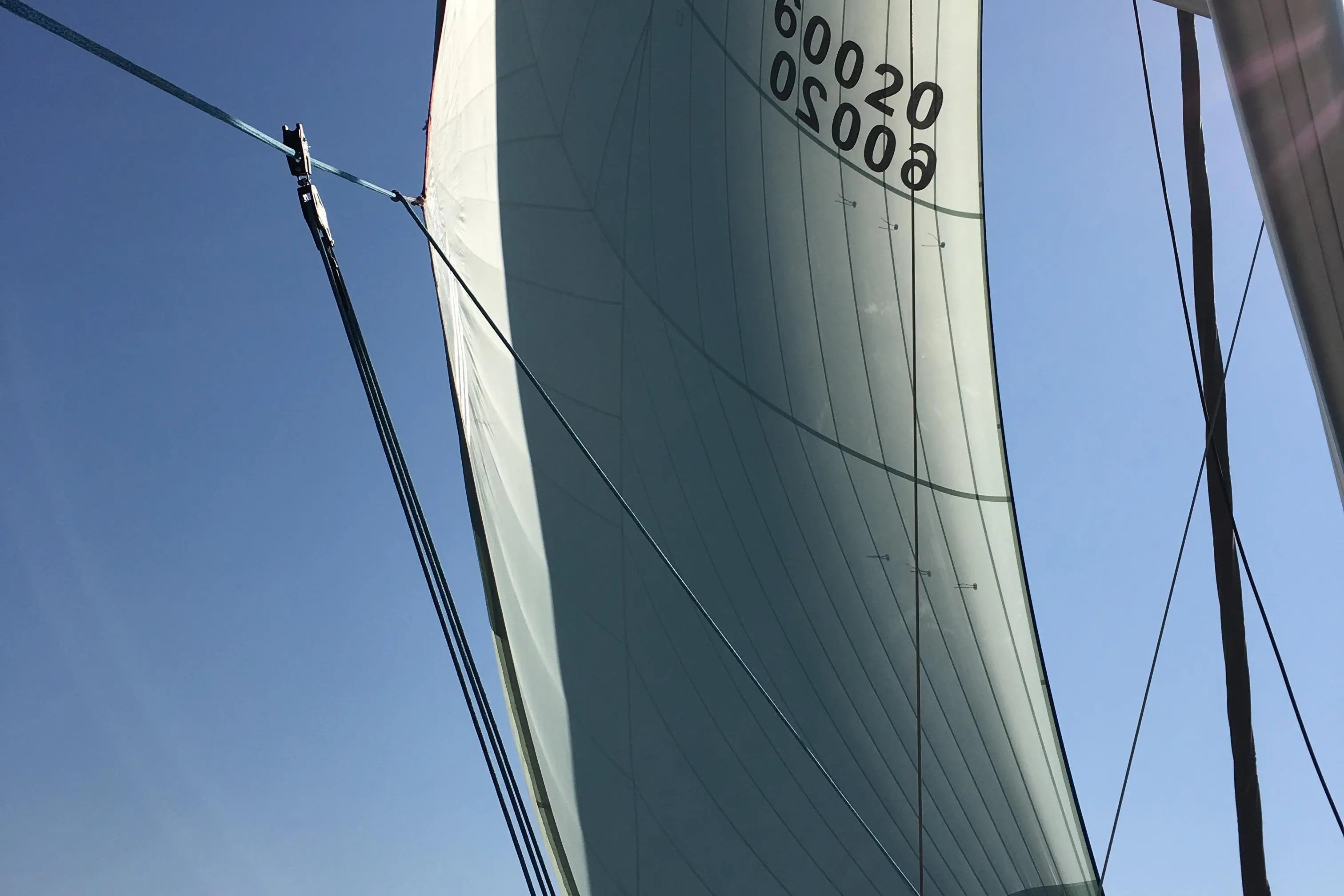 2017 Dufour 51'