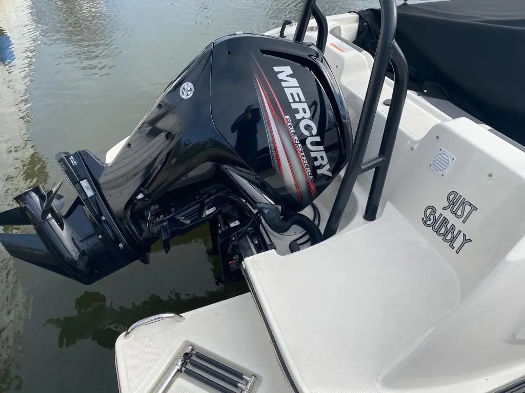 2019 Bayliner element e21