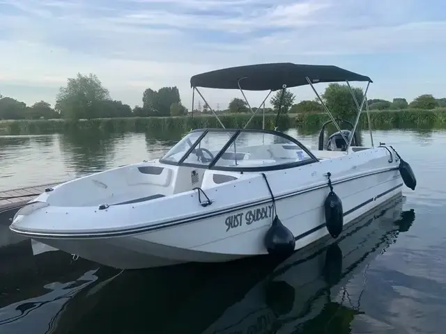 Bayliner ELEMENT E21