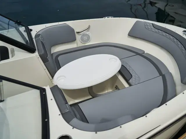 Bayliner ELEMENT M19