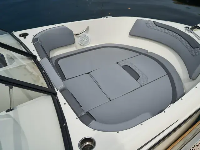 Bayliner ELEMENT M19