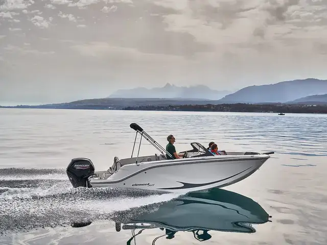 Bayliner ELEMENT M19