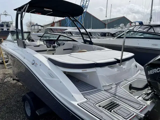 Sea Ray 210 SPOE