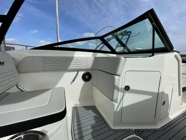 Sea Ray 210 SPOE