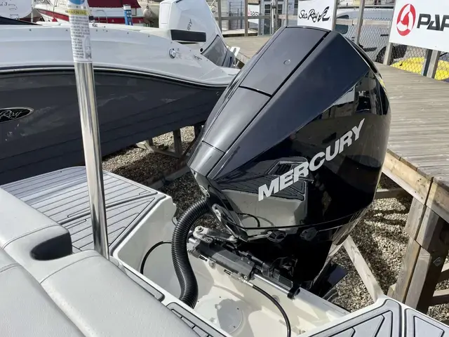 Sea Ray 210 SPOE