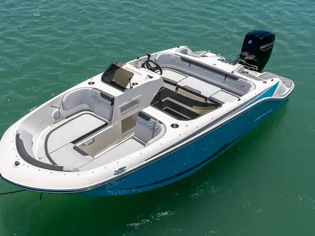 Bayliner Element 17