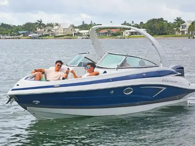 Crownline 270 Xss