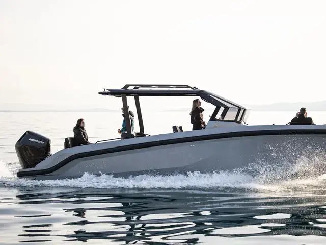 Rand Boats Roamer 29