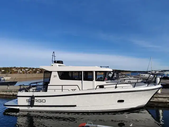 Sargo 31