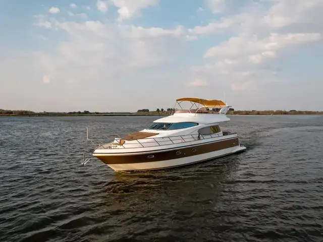 Elegance 54