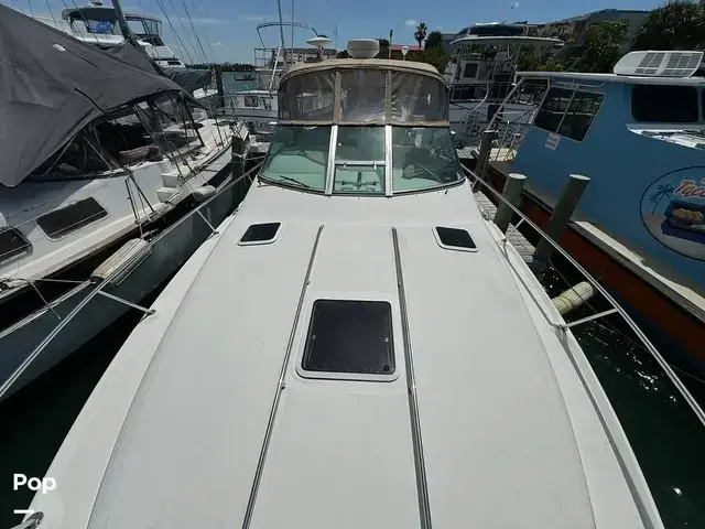 Sea Ray 310 Sundancer