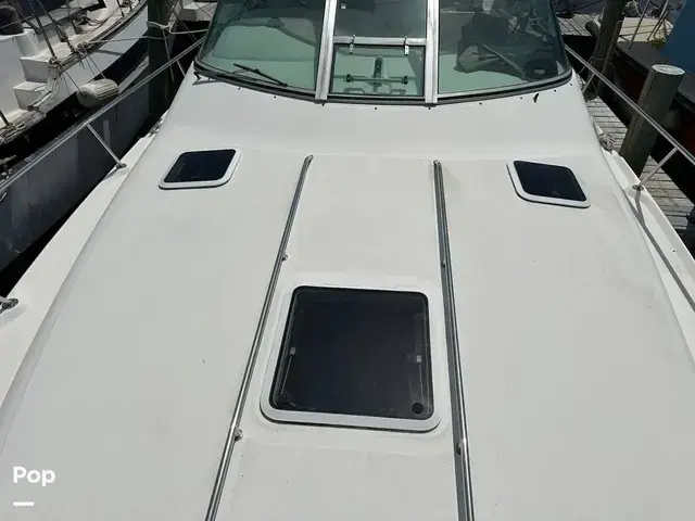 Sea Ray 310 Sundancer