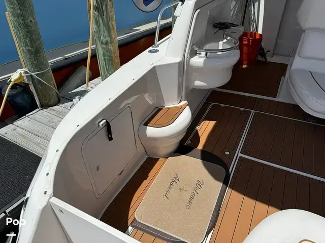 Sea Ray 310 Sundancer