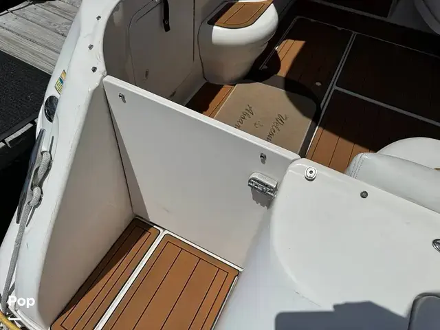 Sea Ray 310 Sundancer