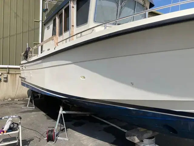 Botnia Targa 31