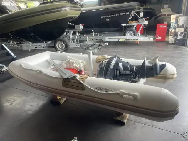 Aermarine Espace 300