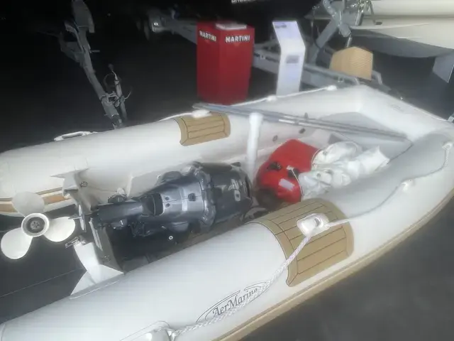 Aermarine Espace 300