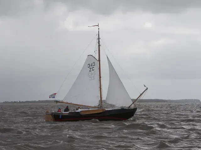 zeeschouw 9.90