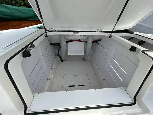 Bayliner Vr6