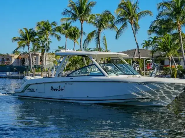 Boston Whaler 32