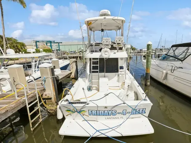 Mediterranean 38 Convertible